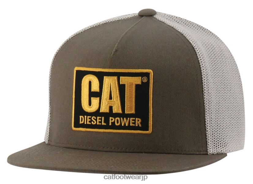 ディーゼルパワーフラットビルキャップ 暗い地球 男性 N2JB0V249 Caterpillar |帽子